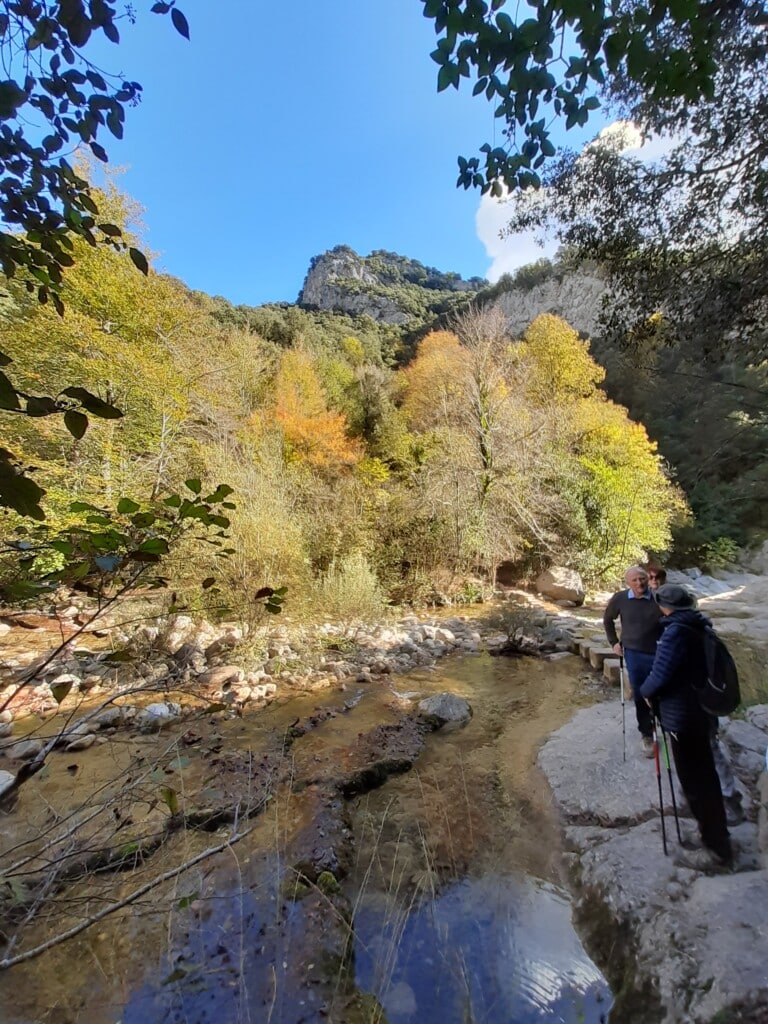 Full day walk – Garrotxa – Llierca gorges