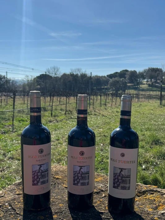Wine Appreciation Group (WAGs) wine tasting at Mas Fuertes, Corca