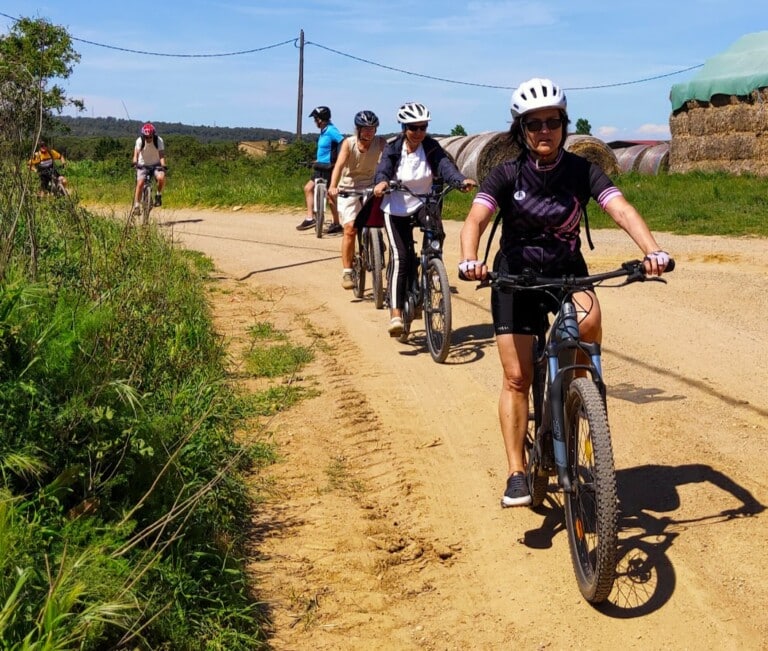 Chris’s Coastal Flatland Circular Cycle