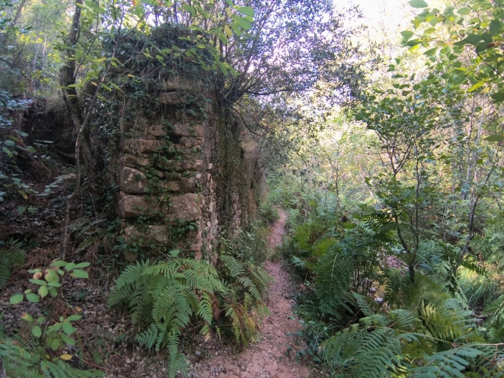 All Day Walk: Old mills of Llagostera / Ruta dels molins
