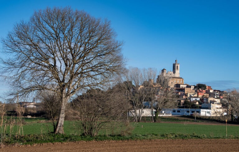 Long Walk in Llagostera farmlands