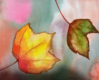 WhatsApp Image 2026-03-24 at 08.35.39 (1)